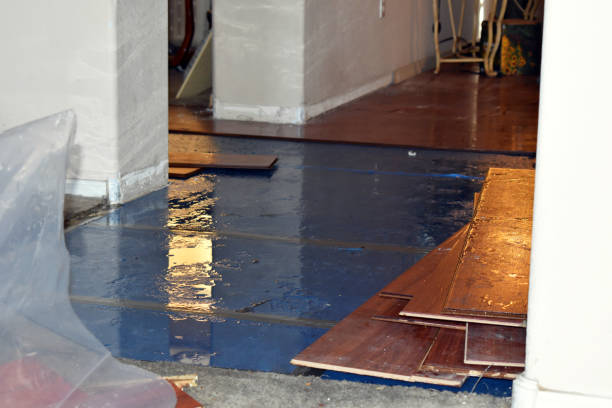Professional Sewage Cleanup technician working in Eagle, MI